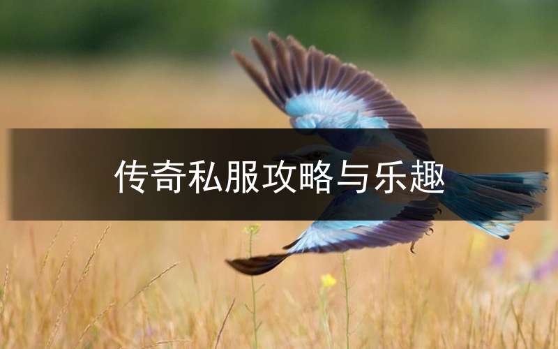 传奇私服攻略与乐趣