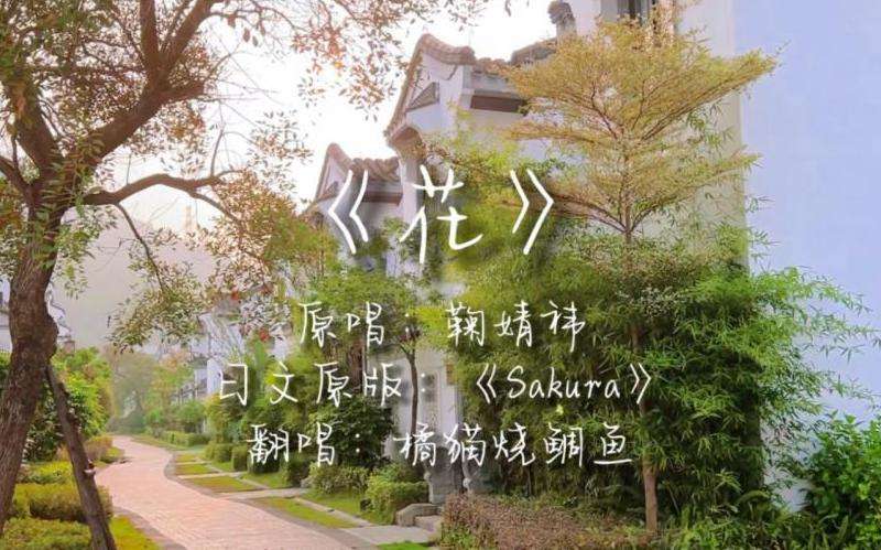 新开1.76传奇私服攻略指南