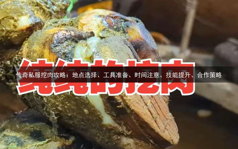 传奇私服挖肉攻略：地点选择、工具准备、时间注意、技能提升、合作策略