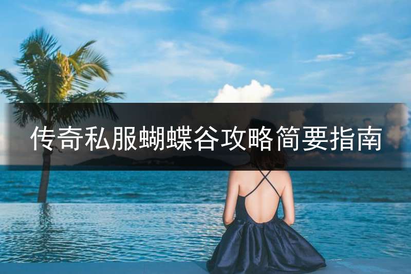 传奇私服蝴蝶谷攻略简要指南